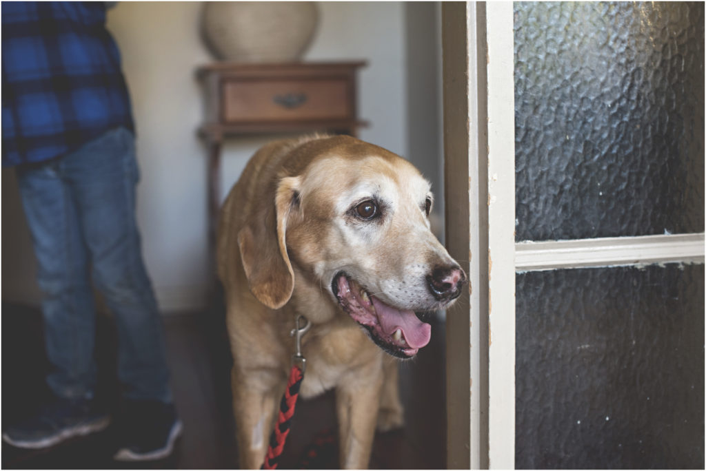 Camden Family Photography, Angie Duncan Photography, www.angieduncan.com.au